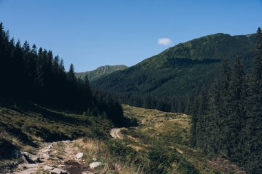 Hala Gasienicowa, Karpat Dağları, Polonya. Sonbahar mevsiminde güneşli bir gün. Yüksek kalite fotoğraf