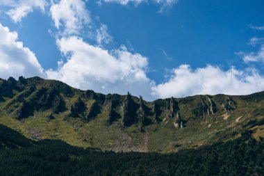 Dağlarda yaz günü. Shpytsi Dağı, Chornohora, Karpat Dağları, Ukrayna. Yüksek kalite fotoğraf