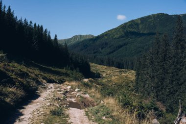 Hala Gasienicowa, Karpat Dağları, Polonya. Sonbahar mevsiminde güneşli bir gün. Yüksek kalite fotoğraf