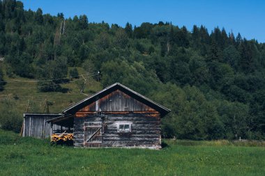 Ukrayna Karpatları dağ ormanları nehir güneşi güzelliği bulutlandırır. Yüksek kalite fotoğraf