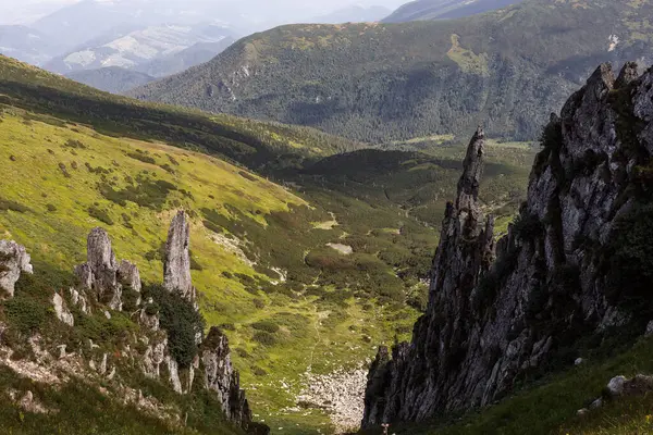 Karpatlar 'ın manzarası çok güzel. Spitzi Dağları. Ukrayna. Yüksek kalite fotoğraf