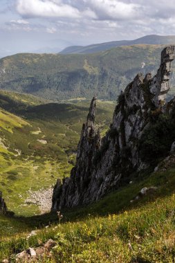 Karpatlar 'ın manzarası çok güzel. Spitzi Dağları. Ukrayna. Yüksek kalite fotoğraf