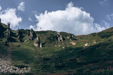 Karpatlar 'ın manzarası çok güzel. Spitzi Dağları. Ukrayna. Yüksek kalite fotoğraf