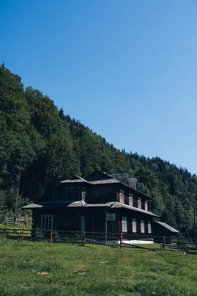 Panorama 'nın altında beyaz sis olan dağlarda güzel bir gün doğumu. Yüksek kalite fotoğraf