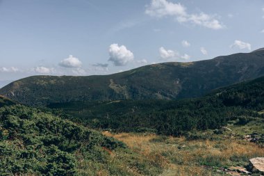 Karpatlar 'ın manzarası çok güzel. Spitzi Dağları. Ukrayna. Yüksek kalite fotoğraf