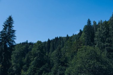 Panorama 'nın altında beyaz sis olan dağlarda güzel bir gün doğumu. Yüksek kalite fotoğraf
