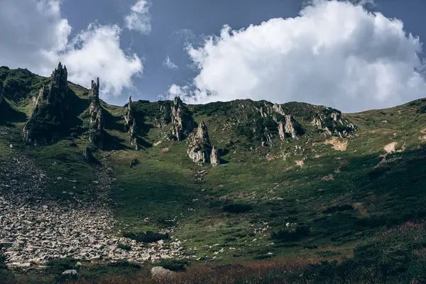Karpatlar 'ın manzarası çok güzel. Spitzi Dağları. Ukrayna. Yüksek kalite fotoğraf