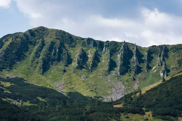 Dağlarda yaz günü. Shpytsi Dağı, Chornohora, Karpat Dağları, Ukrayna. Yüksek kalite fotoğraf