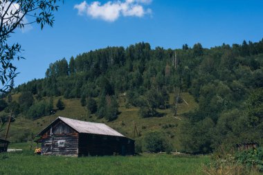 Ukrayna Karpatları dağ ormanları nehir güneşi güzelliği bulutlandırır. Yüksek kalite fotoğraf