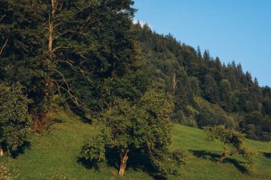 Carpathian dağlarındaki ahşap otel. Konum: Zakarpattya bölgesi, Ukrayna, Avrupa. Yüksek kalite fotoğraf