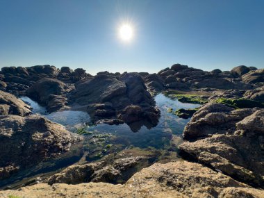 Kaya gölleri kumsalda alçak gelgitte güneşli bulutsuz gökyüzünde parlıyor. Povoa de Varzim, Portekiz.