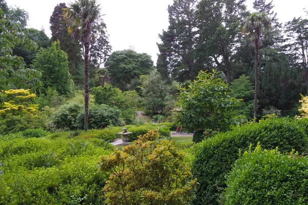 Alberi Powerscourt Gardens Wicklow Irlanda Una Luminosa Giornata Primaverile — Foto Stock