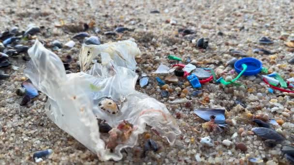 Маленькие Пластмассовые Кусочки Лежащие Песке Пляже Иллюстрируют Проблему Загрязнения Океанов — стоковое видео