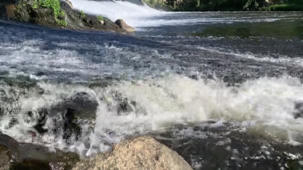 Рыба Выпрыгивает Быстротекущей Воды Реке Иберийская Булочка Пытается Перебороть Плотину — стоковое видео
