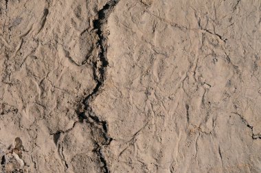Portekiz, Povoa de Varzim 'de kurumuş nehir yatağında uzun bir çatlak.