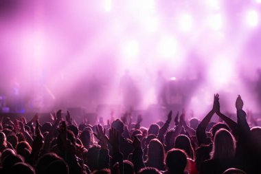 Gençler konserde, müzik festivalinde eğleniyorlar..