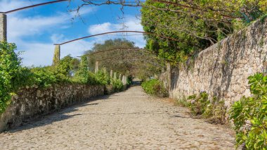 Portekiz kırsalındaki eski tarihi yol. Portekiz 'in Touguinho, Porto bölgesi yakınlarında kaldırım taşları ve üzümler büyüyor..