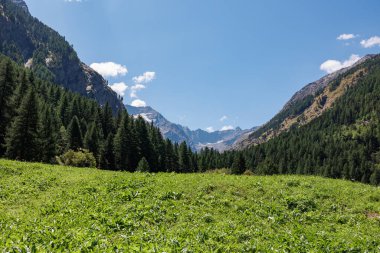 Güneşli bir yaz gününde, İtalyan Alpleri 'nin Dağ Sırası Yeşil Çayır ve Mavi Gök manzarası.