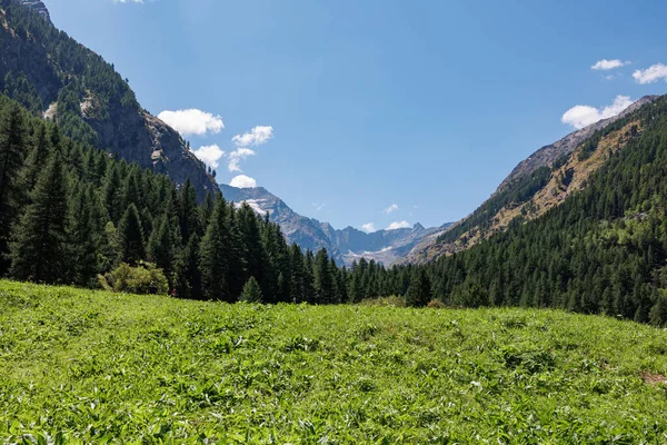 Bergketen Van Italiaanse Alpen Een Zonnige Zomerdag Uitzicht Groene Weide — Stockfoto