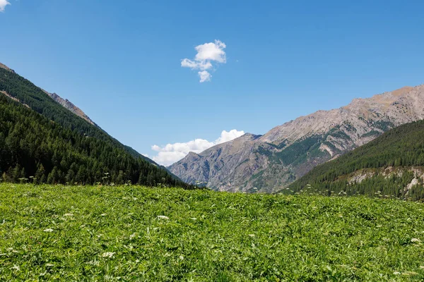 Bergketen Van Italiaanse Alpen Een Zonnige Zomerdag Uitzicht Groene Weide — Stockfoto