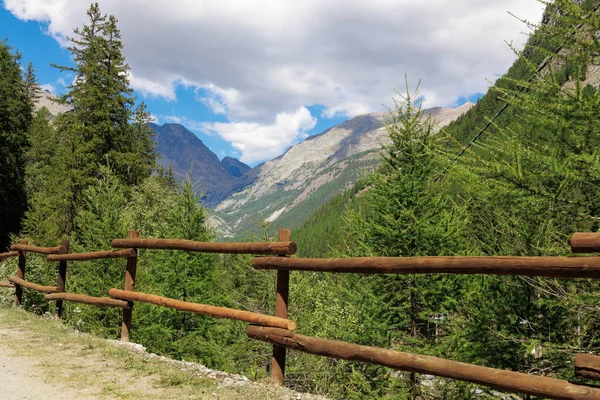 Path Wooden Fence Dan Latar Belakang Gunung Alpen Italia Dan — Stok Foto