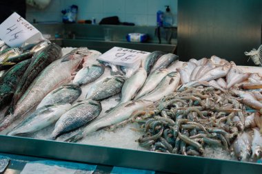 Taze Yakalanmış Balık ve Kabuklu Deniz Ürünleri Marketi.