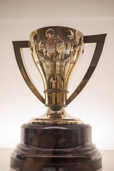 Coppa Che Simboleggia Vittoria Una Competizione Squadra Calcio Del Barcellona — Foto Stock