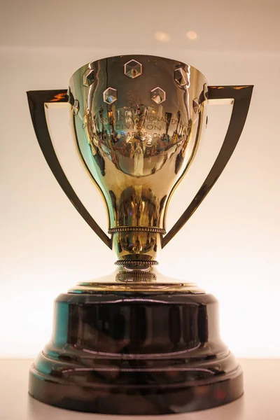 巴塞罗纳足球俱乐部 西班牙足球联赛争夺杯的象征性胜利 — 图库照片