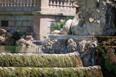 Parc de la Ciutadella Çeşmesi, Citadel Parkı, Barcelona, Katalonya, İspanya Ciutat Vella Mahallesi