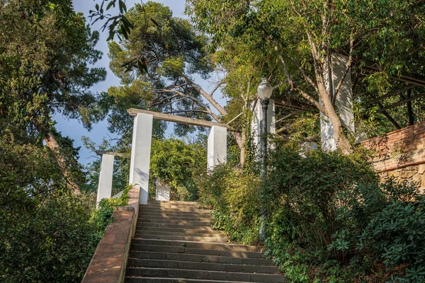 巴塞罗那蒙特胡克花园 有树木和石阶的公园 — 图库照片