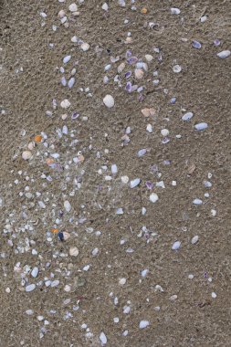 Deniz kabuğu kalıntıları ve Sahilde Küçük Keresteler, yukarıdan görülüyor..