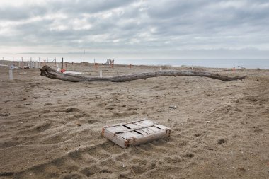 Paslı Çivili Tahta Kutu, Ağaç Gövdesi, Şemsiye Direkleri ve diğer Terk Edilmiş Nesneler Kış Saati 'nde Issız Sahilde yatıyor..