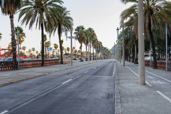 Ulica Passeig Colom Palmami Barcelonie Hiszpania — Zdjęcie stockowe