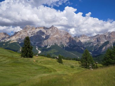 Yeşil çayırlar, firavun ağaçları ve İtalya Alp Dağları bir yaz günü - San Vigilio Marebbe, İtalya.