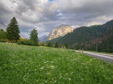 Yeşil çayırlar, firavun ağaçları ve İtalya Alp Dağları bir yaz günü - San Vigilio Marebbe, İtalya.