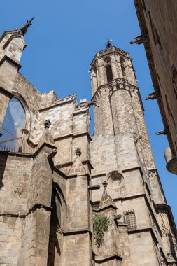 İspanya 'nın Gotik Mahallesindeki Barselona Katedrali' nin Dış Detayları.