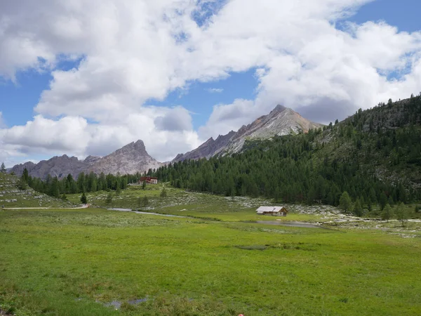 Yeşil çayırlar, firavun ağaçları ve İtalya Alp Dağları bir yaz günü - San Vigilio Marebbe, İtalya.