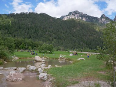Little Lake near San Vigiliio Marebbe in the Greenery of the Fanes - Sennes - Braies Nature Park, Alpi Mountains, Italy. clipart