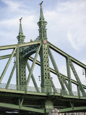 Özgürlük Köprüsü ya da Özgürlük Köprüsü 'nün Ayrıntıları, Budapeşte - Macaristan.