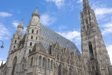 Yükselen Kuleler ve Karmaşık Detaylar, Viyana 'daki St. Stephen Katedrali' nin dış cephesi.