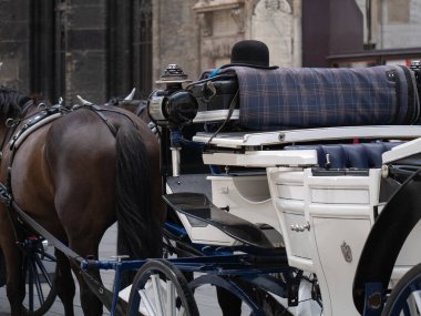 Klasik At Arabası Viyana 'da bir kaldırım taşı caddesinde şehir merkezinde bekliyor..