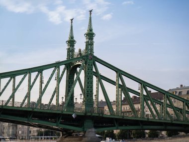 Özgürlük Köprüsü ya da Özgürlük Köprüsü 'nün Ayrıntıları, Budapeşte - Macaristan.