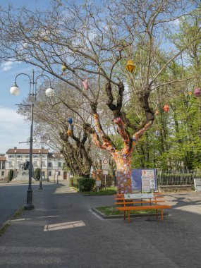 Viadana - Mantua 'daki ağaç, Coronavirus 2020, İtalya' da kilitlenirken yaklaşık 3000 yün döşeme yapan Cutro 'lu bir grup kadın tarafından yünle kaplandı ve yapıldı..