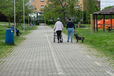 Walker 'ı Olan Yaşlı Kadın Eşi ve Köpeğiyle Dışarıda Parkta Yürür.