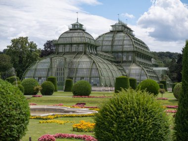 Glass and Green, Schnbrunn Sarayı 'ndaki Palm House - Viyana, Avusturya