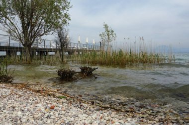 Lakeside Sahnesi Ağaçlar, Sazlıklar, Ahşap İskele ve Bulutlu Gökyüzü.