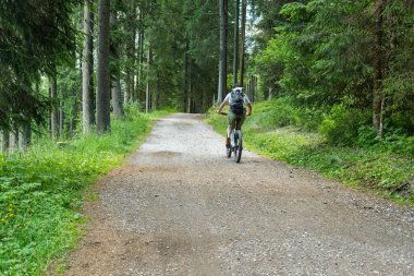Dağ Bisikleti, Ağaçlı Bisikletçi.