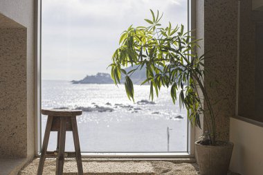 Bitkili pencereden deniz manzarası