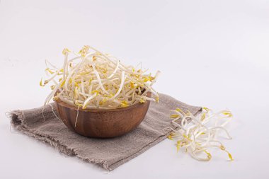 beyaz zemin üzerine Mung fasulye filizi