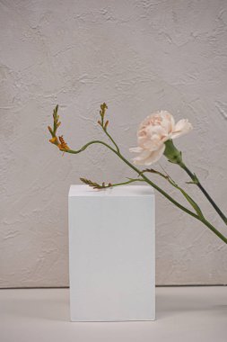 boş model ürün görüntüleme podyumu arkaplanı